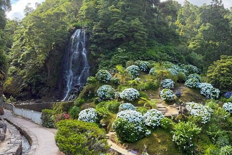 São Miguel : Ganztags Nordeste und Povoação