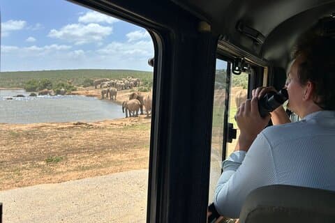 Addo Elephant National Park privat safaritur