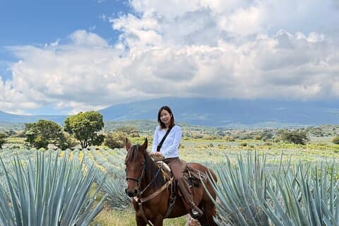Tequila, agavefält och provsmakning