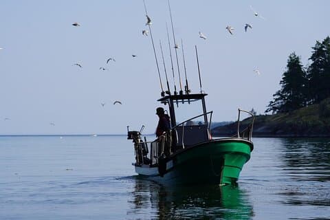 Campbell River - Charters de pesca: Família amigável e acessível