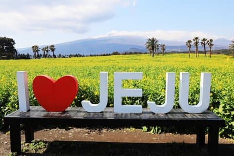 Jeju : tour di un giorno autentico del sud, patrimonio dell'UNESCO