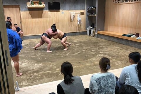 Sumo hautnah erleben