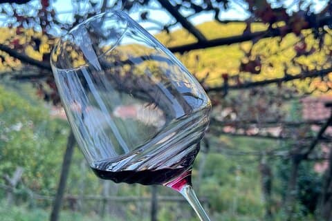 Da Salerno: tour privato della Costiera Amalfitana con pranzo e abbinamento di vini