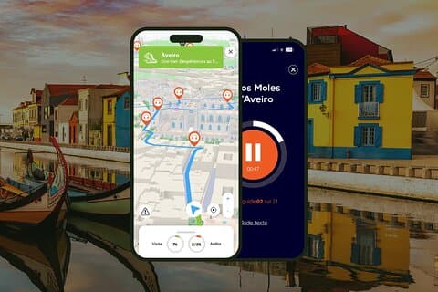 Audiogidswandeling door Aveiro: 2,5 uur en 20 commentaren