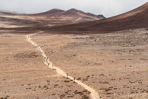 7 - Dag Machame Route Trek til Mount Kilimanjaro