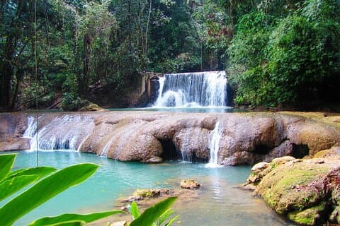 Excursion sur la côte sud Rivière Noire et cascades YS