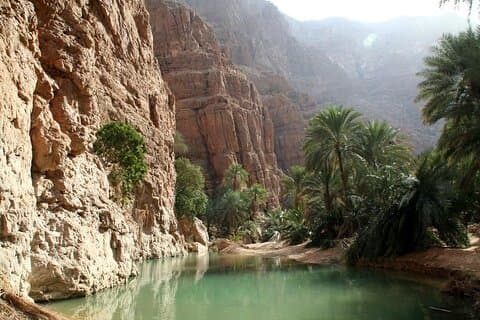 Day Trip from Muscat: Wadi Shab & Wadi Tiwi
