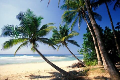 Excursão de um dia na Costa Sul do Sri Lanka - Bentota, Hikkaduwa, Galle