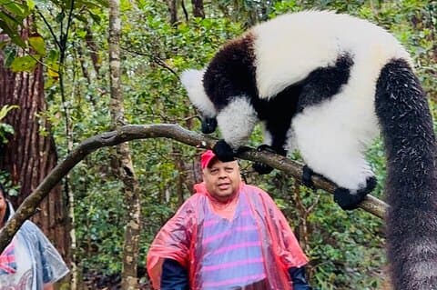 2 jours Madagascar Wildlife Adventure
