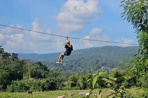 Meia-dia Mae Wang Zipline and Bamboo Rafting Chiang Mai Trip
