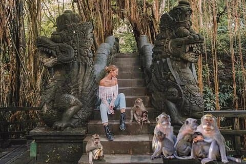 Privétour door Ubud: Apenbos, waterval en rijstterras