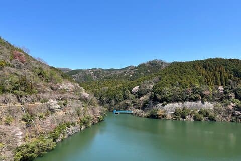 Privat E-bike eventyr i Osaka's Hills
