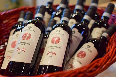 Privat dagsutflykt till Montepulciano och Pienza från Florens