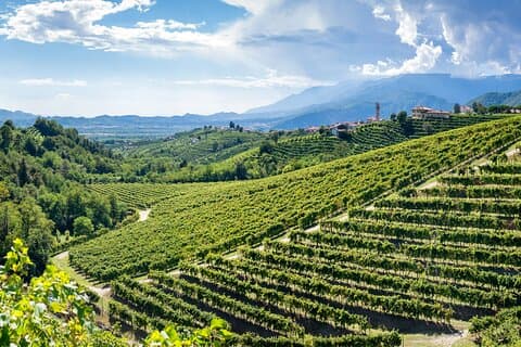Valdobbiadene PROSECCO Tour Privado e Degustação com Sommelier