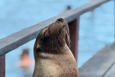 5-Day Galapagos Island Hopping Tour to 3 Islands