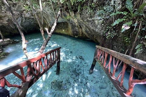 Nature Adventure at Cenote 2 Ojos and Gran Cenote! Tulum Ruins