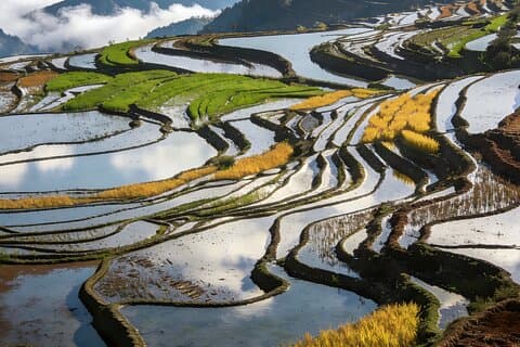3-Day Private Tour to Jianshui and Yuanyang Hani Rice Terraces from Kunming