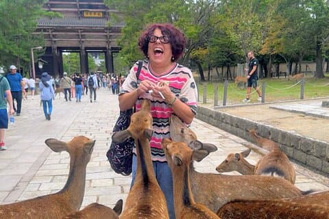 Visita guiada a Nara, Patrimonio de la Humanidad