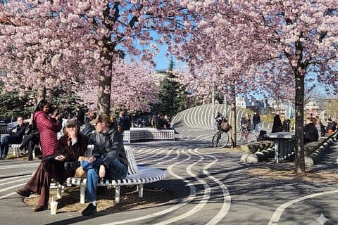 Nørrebro Walking Tour – verdens kuleste nabolag