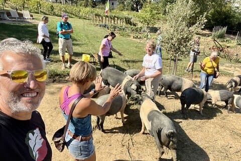 Visite de la ferme porcine de Montepulciano avec déjeuner