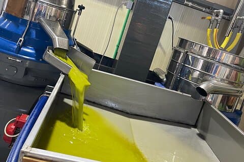 イラクリオン料理教室体験+オリーブオイル工場