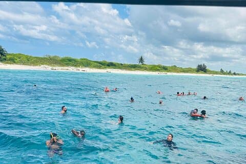 Entdecken Sie Catalina Island ab Punta Cana DR Eine Fluchtreise