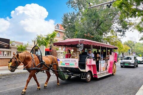 Excursión ilimitada a los lugares destacados de la ciudad de Tianjin desde Beijing en tren bala