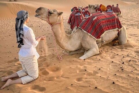 4 - Red Dunes Private Dubai Desert Safari (geen kamp) –