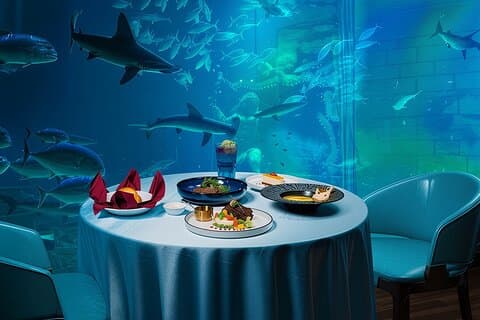Phu Quoc City: VinWonders & VinSafari & Lunch with Aquarium View