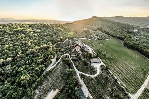 Discovering Montemelino Wine Experience by Lake Trasimeno