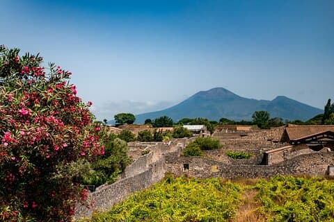 Pompeji, Vesuvius Vandra och vinprovning med lunch från Salerno