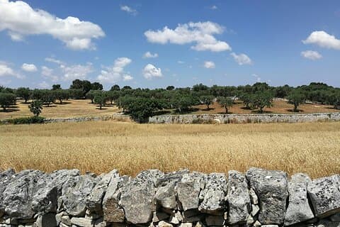 Hiking and dry-stone wall building