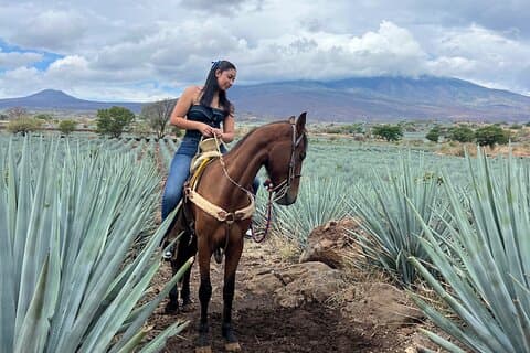 Tur til Tequila-ruten