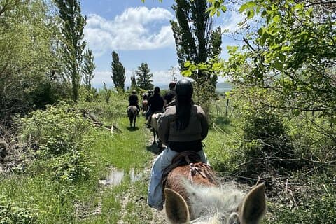 Visite à cheval d'une heure au ranch Palomino