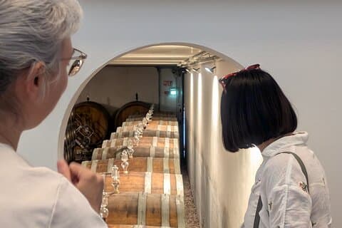 With Edo - Private Barolo Without the Crowds · From Turin