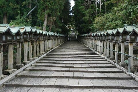 Tour privado de un día en Tokio - Totalmente personalizable - Vehículo de gama alta