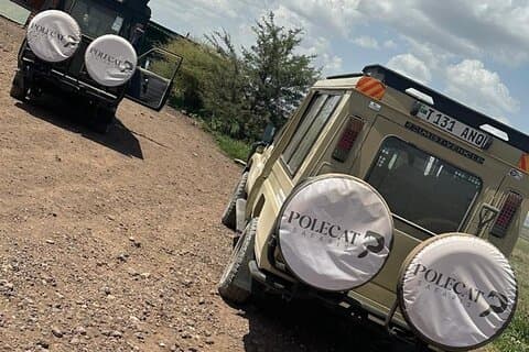 7 Tage Private Luxus Safari nach Serengeti & Ngorongoro