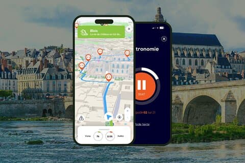 Blois: Audioguidad vandringstur, 1 timme och 45 minuter och 22 ljudkommentarer