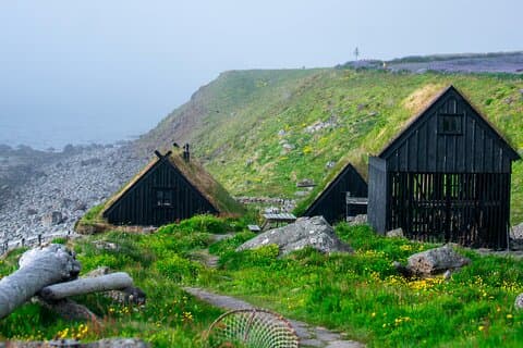 3-daagse Westfjorden Hoogtepunten Avontuur met Schilderachtig Uitzicht