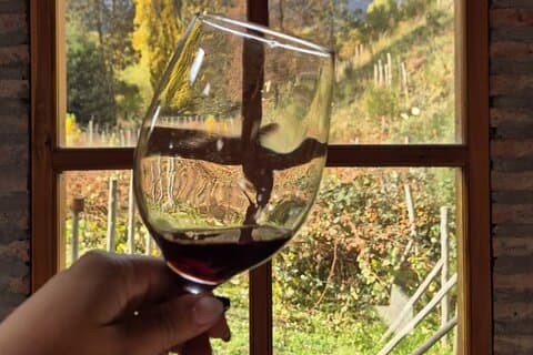 Gourmet El Bolson Patagonian Wine Pairing