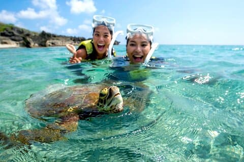 A staple of Miyakojima and Miyakojima!Sea Turtle Snorkel and Sunset SUP Tour