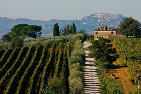 Experiência para amantes do vinho em Montepulciano: dia inteiro