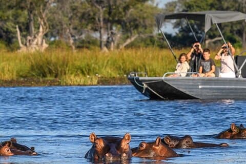 Excursion d'une journée à Chobe