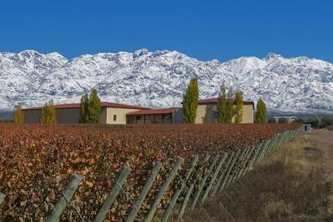 Visite Premium de la cave : Clos de los Siete, Piedra Negra & Lunch