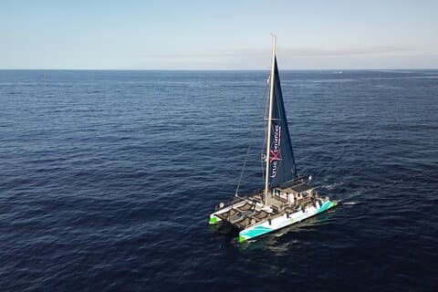 Whale Watching and Listening Eco Catamaran Tour with Food Tasting