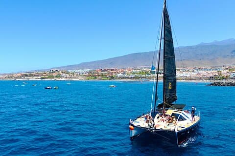 Tenerife Whale Watching Only Adults Esclusivo Chill Out Catamarano