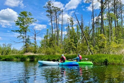 Alligator River Refuge at Buffalo City
