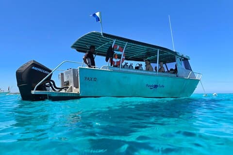 2 Tank (1 Day) Guided Diving for Certified Divers - Denarau Marina