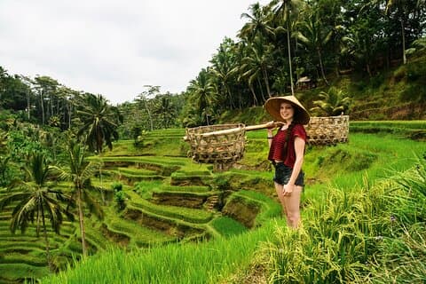 Private 1-tägige Ubud Highlights Tour