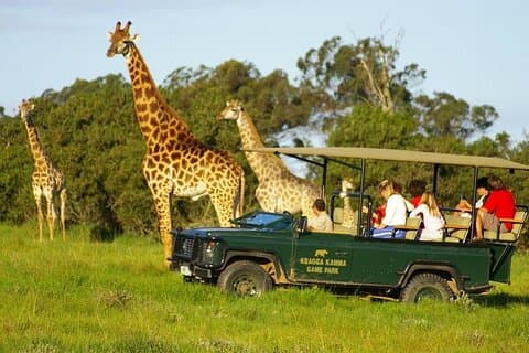 Tour en 4WD por Port Elizabeth Kragga Kamma Game Park